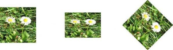Original und gedrehte Bilder um die X- bzw. Z-Achse. Original und gedrehte Bilder um die X- bzw. Z-Achse.