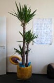 T3N_C-Palme-neu