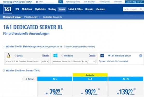 Achtung bei der Auswahl: Root-Server und Managed-Lösung liegen hier bei 1&1 etwa direkt nebeneinander.