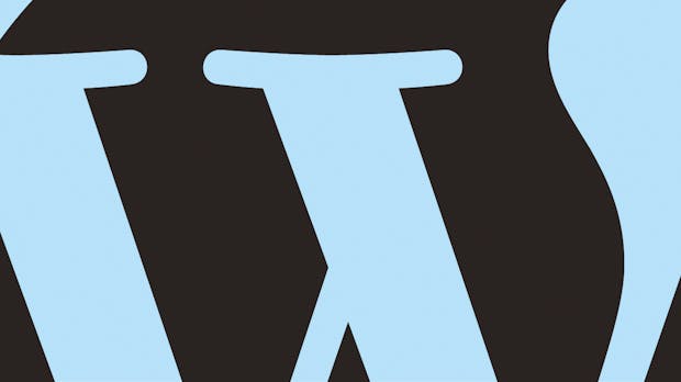 WordPress in Groß: Workflows für die Umsetzung großer Projekte