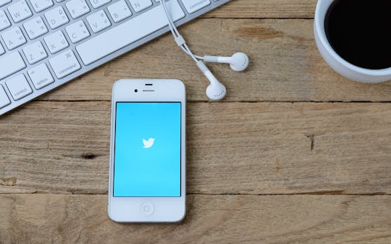 Mehr Freiheit für Twitter: Markus Beckedahl über Alternativen zum blauen Vogel