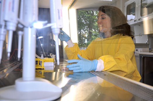 Megatrend Biotech: Was Gentechnik und Nano-Roboter bald können – und was nicht