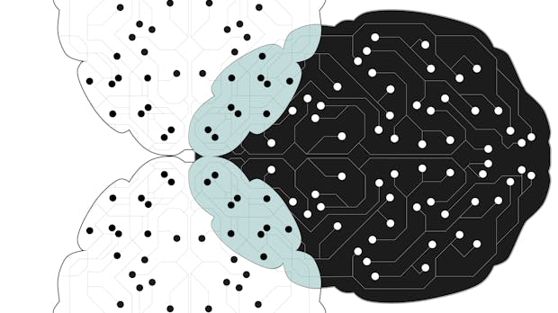 Transfer Learning: Das Wundermittel für mehr Intelligenz?