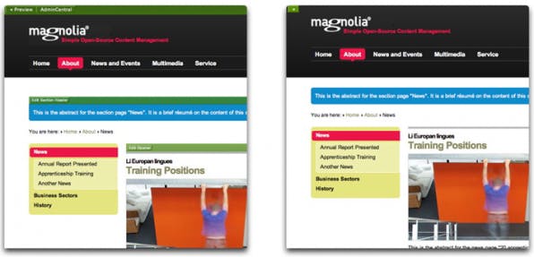 Magnolia: Edit und Preview Der WYSIWYG-Editor in Aktion: links die Edit-Ansicht, rechts die Vorschau