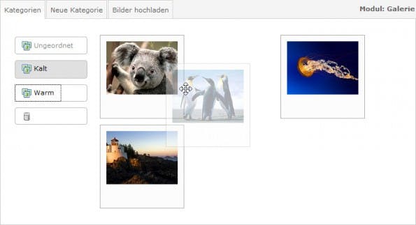 In dieser Galerie können Bilder und Alben einfach per Drag & Drop sortiert und verschoben werden.