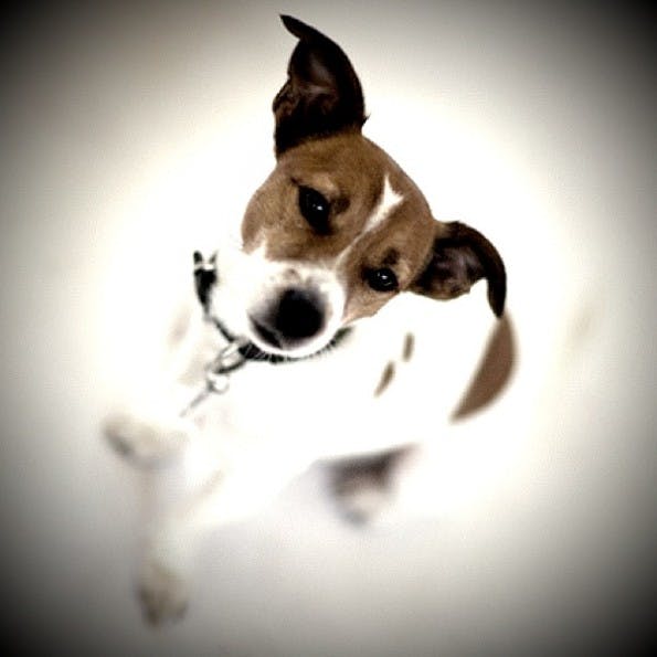 iphoneography_s3