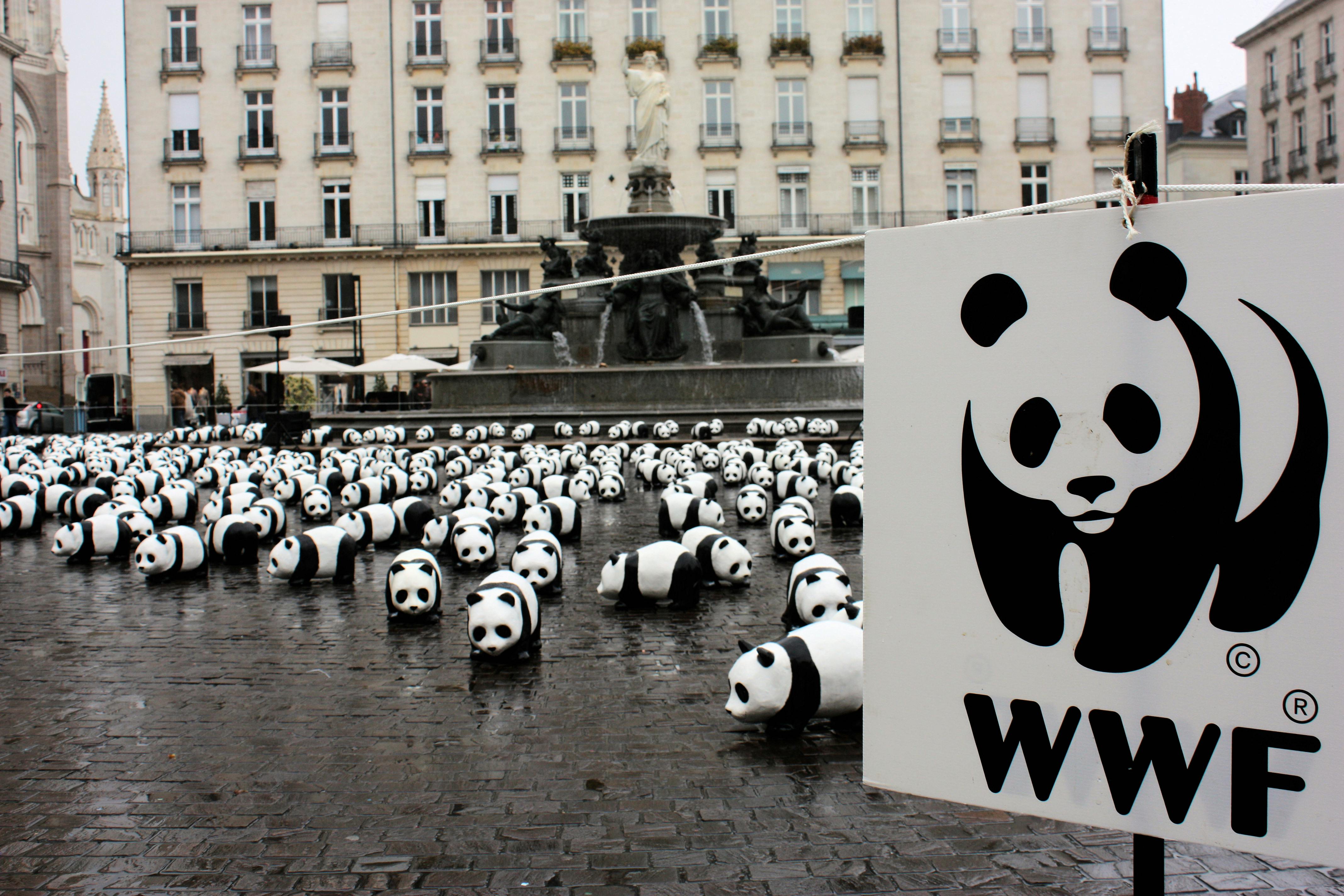  WWF  Shitstorm Warum Krisenkommunikation nicht um 18 Uhr 