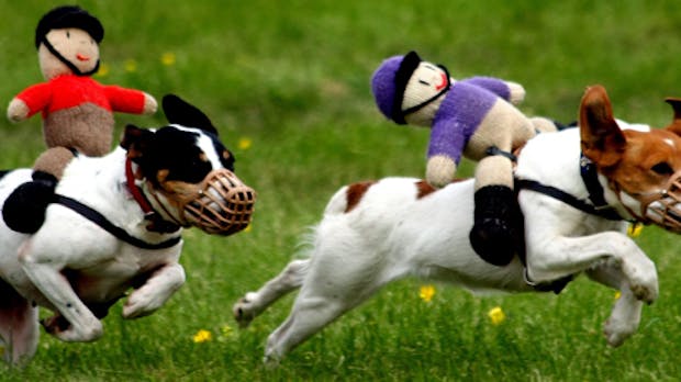 Freie Web-Frameworks im Performance-Vergleich