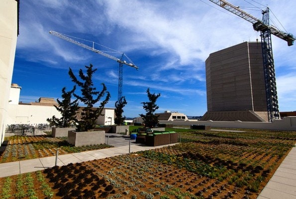twitter-hq-rooftop-garden