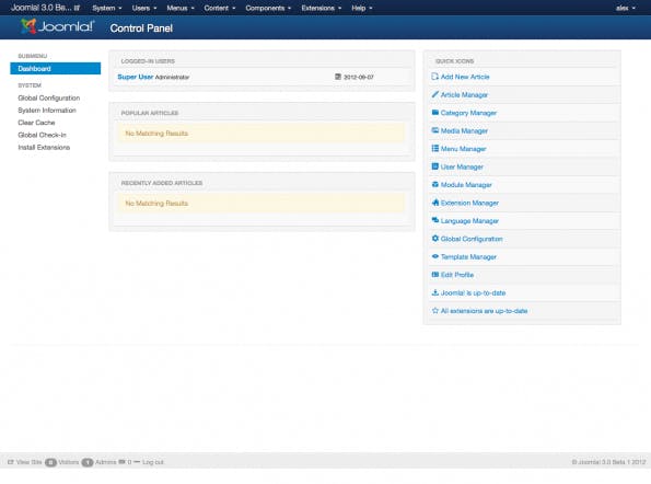 bild05-backend-startseite Das Backend wirkt übersichtlich und aufgeräumt.