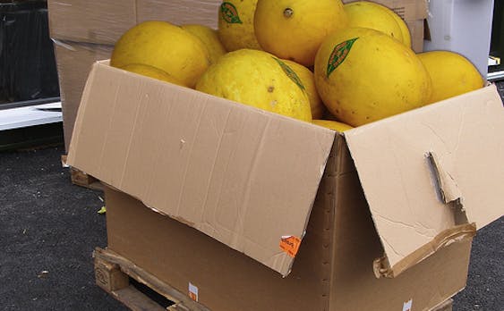 Google setzt jetzt auch auf Same-Day-Delivery