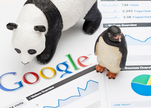 Pinguin, Panda & Co. – Eine Reise durch den Google-Zoo