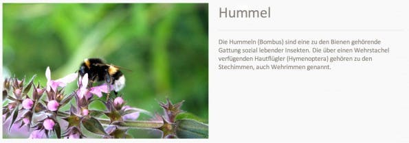 Endergebnis aus Kombination von CSS3 und HTML5.