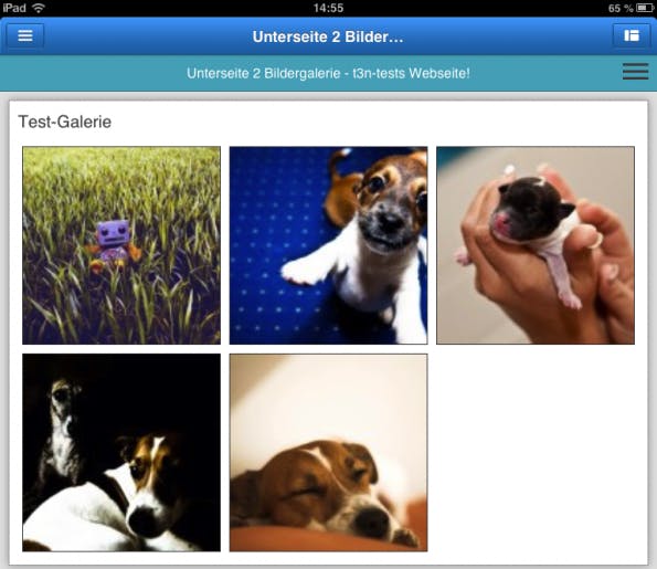 Zu den Elementen, die Jimdo für iOS bietet, gehören auch Bildergalerien.