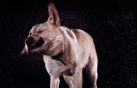 Faszination Zeitlupe: Wie du Slow-Motion-Videos mit dem Smartphone machst