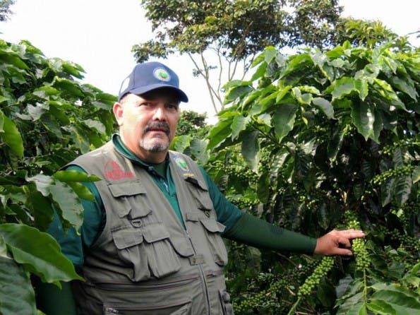 Über einen virtuellen Marktplatz will Bonaverde Kaffeebauern wie Henry aus Nicaragua ein faireres Geschäft ermöglichen. (Foto: Bonaverde)