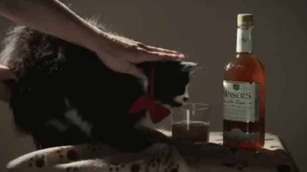 Marketing-Videos: Wenn Agenturen sich selbst veräppeln