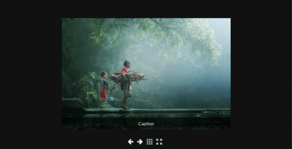 Screenshot: S-Gallery Detailansicht
