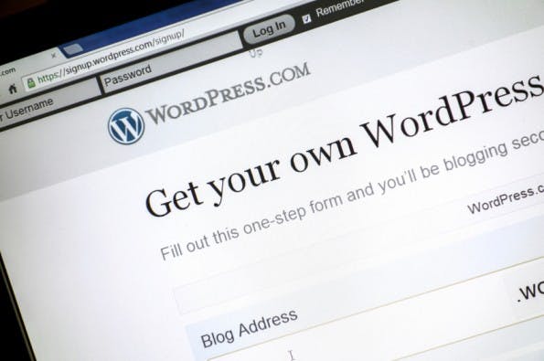 wordpress