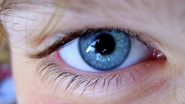 EyeLock: Dieser Iris-Scanner ersetzt all deine Passwörter