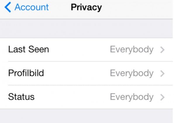Die Privatsphäre-Einstellungen in der WhatsApp Beta-Version für iOS. (Screenshot: @0xmaciln)