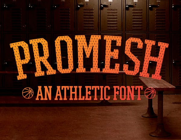 Promesh Font