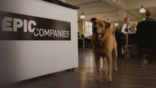 Startup-Inkubator in der Krise? Epic Companies vor Neustrukturierung