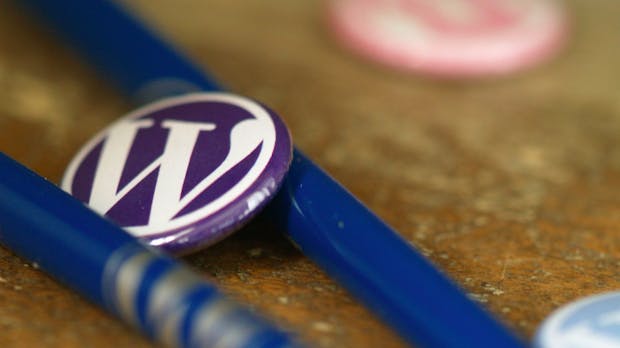 WordPress: Auf diese Plugins und Themes setzen die größten WP-Seiten im Netz