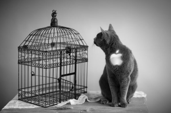 (Bild: © Nailia Schwarz - Fotolia.com Montage: t3n)