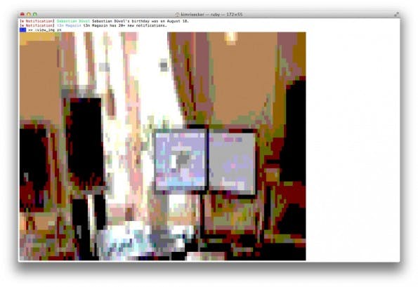 Facebook: Die Anzeige von Bildern im Terminal ist natürlich weniger sinnvoll. (Screenshot: Facy)