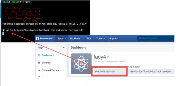 Faceook im Terminal: Damit ihr Facy nutzen könnt, müsst ihr erst eine neue Facebook-App erstellen und die entsprechende ID eingeben. (Screenshot: GitHub)