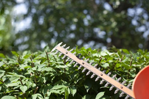 Webdesign ist wie Hecke schneiden: Eine Twitter-Geschichte über lästige Kunden