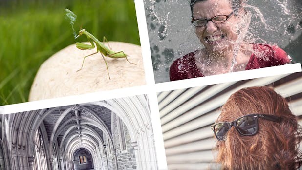 The Stocks: 11 Websites für lizenzfreie Stockfotos an einem Ort