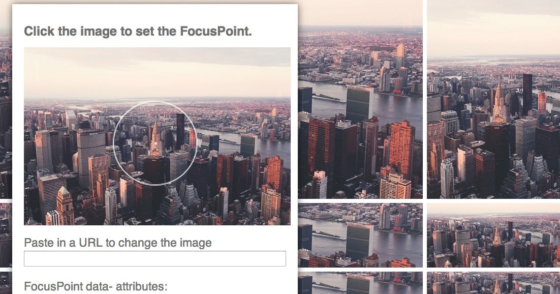 Focuspoint Jquery Plugin Fur Fokales Cropping