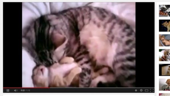 Youtube Screenshot