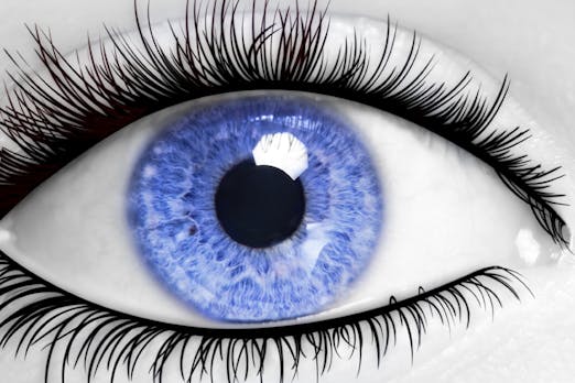 Sind die Farben deiner Seite barrierefrei? WebAIM bietet dir einen einfachen Check