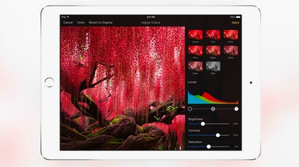 Pixelmator bringt seine beliebte Photoshop-Alternative jetzt auch aufs iPad. (Screenshot: t3n)