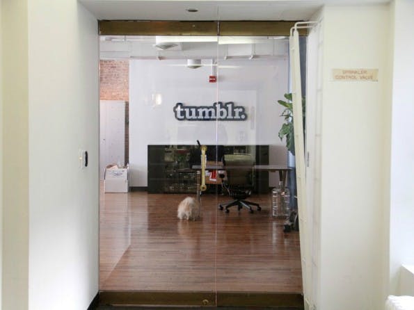 (Foto: Daniel Goodman / Business Insider)