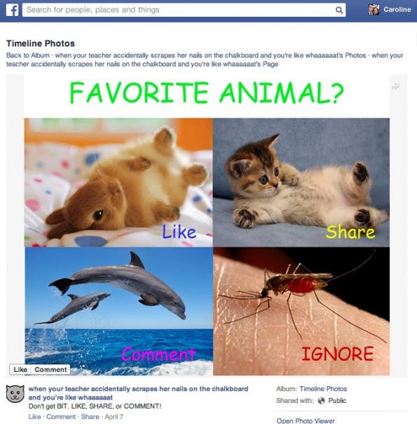 Newsfeed: Facebook ist kein Fan von Memes, Link- und Like-Baiting. (Screenshot: Facebook)