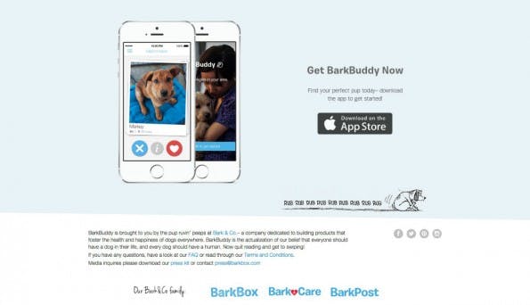 Das Tinder-Prinzip als Startup-Trend: Barkbuddy. (Screenshot: t3n)
