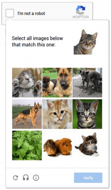 Katzenbilder sollen auch auf dem Smartphone für bequeme Captcha sorgen. (Screenshot: Google)