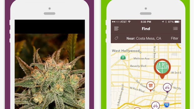 Millionen für Cannabis-Startups: Peter Thiel wittert die nächste große Geschäftschance