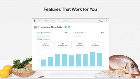 Newsletter sind en vogue wie lange nicht. (Screenshot: MailChimp)
