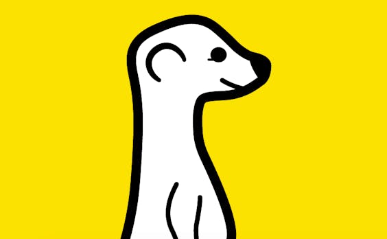Aus für den Live-Stream: Meerkat gibt den Kampf gegen Periscope und Facebook auf und erfindet sich neu