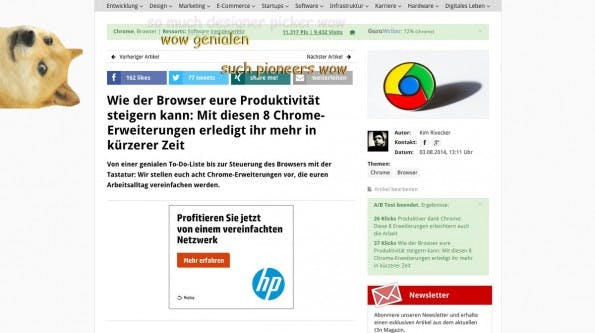 Diese Chrome-Erweiterung bringt den Doge-Meme auf jede Website. (Screenshot: t3n.de)