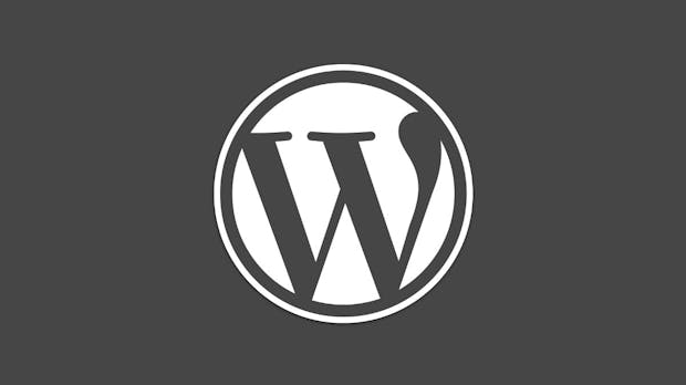 WordPress 5.0 steht vor der Tür: Worauf ihr vor dem Update achten solltet