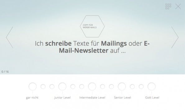 Skjlls.com ermittelt für den Gehaltsvergleich das Level deiner Berufserfahrung bis ins Detail. (Screenshot: Skjlls.com)