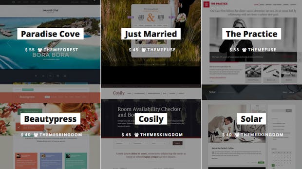 Auf der Suche nach dem perfekten WordPress-Theme? ThemeBro hilft!