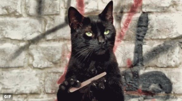 Oha: Katzen-GIFs bei t3n.