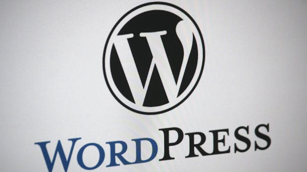 Formular-Plugins für WordPress: 8 Lösungen kurz vorgestellt